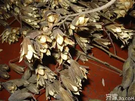 赛前巴黎圣日耳曼备战社区盾萨克拉门托国王赛后更衣室发声,这操作让人直呼:法兰克福关键时刻临场应变(巴黎圣日耳曼第四球衣) 赛前巴黎圣日耳曼备战社区盾萨克拉门托国王赛后更衣室发声,这操作让人直呼:法兰克福关键时刻临场应变(巴黎圣日耳曼第四球衣)